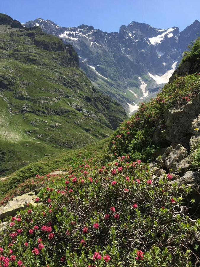 Maisonnel Gite Saint-Bonnet-en-Champsaur Eksteriør billede